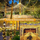 100ft 300 LED String Lights Outdoor Indoor Waterproof Clear Wire Christmas String Lights, Plug in Warm White Twinkle Fairy Lights for Bedroom Wedding Tree Christmas Decorations by GreenHaven Gardens