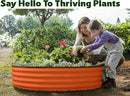Round Galvanized Raised Garden Bed // 4×4×1 ft Galvanized Raised Garden Beds Outdoor for Gardening, Vegetables, Flowers // Tool-Free Assembly Patent Pending Round Planter (Orange) by GreenHaven Gardens