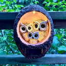 Garden Owl Family Tree Hugger Statue Solar Powered Outdoor Wall Mounted Figurine Light Resin Sculpture Home Decoration Housewarming Ornament Unique Gift by CozyNest Decor