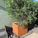 Corten Steel Planter Box Large Outdoor Planter Square Cube Planters Rustic Metal Garden Flower Pot 24 Inch Durable Antique Detached for Commercial Residential Patio Deck and Yard by CozyNest Decor