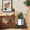 D'vine Dev Ceramic Planter with Ebony Stand - 10 Inch Modern Round Flower Pot with Wood Planter Holder, White, 55-B-L-1 by GreenHaven Gardens