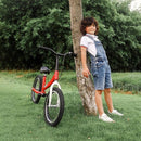 Balance Bike 2 in 1,The Dual Use of a Kids Balance Bike and Toddler Bike, for 2 3 4 5 6 7 Years Old -12 14 16 Inches with Training Theory, Brake, Pedal by TinyTreasures Baby Boutique