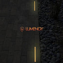 LUMENGY Paver Light Slim 0.5x8 Inch (0.55 x 7.87 inches) 2700K Warm White Glare-Free Steel Brick Lighting for Pavers, Walls, Driveway & Pathway Borders, Waterproof, Drive-Over Rated - 12V AC/DC by CozyNest Decor
