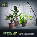 Bloom Lume LED Grow Lights for Indoor Plants Full Spectrum - Features Multi-Mode Color Spectrums, Dimmable, Auto Timer, Clip on Goosneck Plant Lamp by GreenHaven Gardens