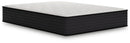Limited Edition Plush - Mattress