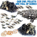 Amazing Owl Pellet Dissection Kit 5-Piece Set for Science Lab Projects Includes Tweezers and Wooden Probes Ideal for Ages 15 & Older Barn Owl eBook Included by TinyTreasures Baby Boutique