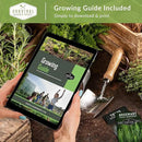 Indoor Garden Vegetables Hydroponic Apartment Garden - Non-GMO Heirloom Vegetable Varieties for Small-Space Patio Garden - Hydroponics-Friendly - Plant Indoors or Outdoors - Survival Garden Seeds by GreenHaven Gardens