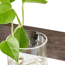 Mkono Propagation Station Wall Planter Glass Cylinder Vase Hanging Terrarium for Hydroponics Plant Cutting Indoor Outdoor Decor Brown, Plant Lover Gift by GreenHaven Gardens
