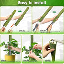 DUSPRO Self-Watering Natural Green Forest Moss Pole, Easy to Use Moss Sticks for Indoor Plants, Climbing Plant Support Stake with Self-Watering Feature, Moss Pole Monstera Plant Support 2pcs 23'' by GreenHaven Gardens