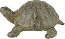 Design Toscano Aesop's Turtle Ornament Garden Tortoise Animal Statue, 10 Inches Wide, Cast Iron, Verdigris Finish by GreenHaven Gardens