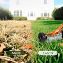Walensee Dethatching Roller Rake with 76.8'' Adjustable Handle, 2mm Stainless Steel Blades, Heavy Duty Lawn Thatch Remover for Moss, Grass Clippings, Leaves & Debris – Ideal for Yard & Garden Cleanup by GreenHaven Gardens