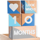 Baby Monthly Milestone Blocks — Cute Nursery Decor — Lovely Newborn Photography Props — Baby Shower Gifts (Blue & Gray) by TinyTreasures Baby Boutique