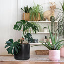 D'vine Dev 14 Inch Ceramic Planter Pot with Drainage Hole and Saucer, Indoor Cylinder Round Planter Pot, Black, 94-O-G-2 by GreenHaven Gardens