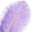THARAHT Lavender Ostrich Feathers 12pcs Large Natural Bulk 16-18Inch 40cm-45cm for Wedding Party Centerpieces Easter Gatsbi and Decoration Feather by CozyNest Decor