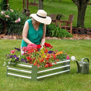 Sunnydaze Galvanized Raised Garden Bed - Metal Raised Bed for Gardening - Outdoor Planter Box for Flowers, Plants, and Vegetables - Silver - 48" W x 24" D x 12" H Rectangle by GreenHaven Gardens