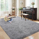 5x8 Area Rug for Living Room: Fluffy Shag Soft Washable Rugs Fuzzy Plush Indoor Carpet for Bedroom Nursery Playroom Dorm Kids Girls Boys Room (Dark Grey, 5'x8') by TinyTreasures Baby Boutique