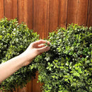 Premium 14" Diameter Artificial Boxwood Topiary – Set of 2 Faux Plants in Black Decorative Planters – UV-Resistant, Weatherproof, Realistic Outdoor & Indoor Greenery Accent by GreenHaven Gardens