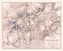 Vintage Map of the Battle of Borodino, 1812