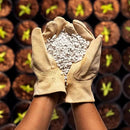 Perlite Bliss (24 Qts) - Organic Perlite for Plants - Coarse Perlite Bulk Soil Amendment - Chunky Perlite for Plants, Potting Soil, Garden Soil, & Coco Coir - Horticultural Perlite for Gardening by GreenHaven Gardens