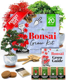 HOME GROWN Bonsai Tree Kit - Premium Ceramic Starter Kit - 4 Variety of Bonsai - Unique Gift for Men and Women Gardeners by GreenHaven Gardens