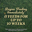 O.M. Scott and Sons Natural Grass Food, Food for Lawns, Fertilizes for up to 10 Weeks, Covers up to 2,000 sq. ft., 12.72 lbs. by GreenHaven Gardens