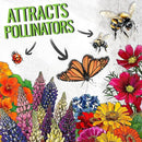 Seed Needs Wildflower Seeds Hummingbird and Butterfly Seed Mix | 2 Packs (1 Ounce Each) No Filler 23 Varieties Garden Seeds Annual & Perennial Species | Pollinator Attracting Flower Seed | Bulk by GreenHaven Gardens