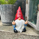 Middle Finger Gnome Statue 7.8in， Naughty Garden Gnome Statue Decoration and Lawn Ornament - Funny Garden Gnomes for Outdoor or Home Decor, Red, WSH004 by GreenHaven Gardens