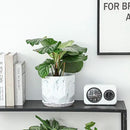 Large 7 Inch Marble White Plant Pots Planters with Saucer Tray, Mesh Pad, Drainage Hole and Stopper, Hand Glazed Flower Pot, Garden Indoor Outdoor Planter, Modern Home Decor (Ceramic, White) by GreenHaven Gardens