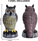Galashield Owl Decoy to Scare Birds Away | Plastic Owls to Scare Birds Away | Owl Statue for Garden & Outdoors by GreenHaven Gardens