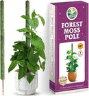 DUSPRO 42’’ Mesh Moss Pole for Plants, Tall Trellis for Climbing Monstera Plant Support, Sphagnum Moss Stick for Big Climbing Indoor Plant, Handmade Plant Stakes for Houseplant by GreenHaven Gardens