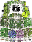 Seed Needs Herb Seeds Variety Pack Culinary Herb Collection (12 Individual Packets for Planting Indoors or Outdoors) Grow Your Own Herb Garden - Heirloom, Non-GMO by GreenHaven Gardens