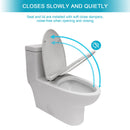 Modern Ceramic 1 Piece Toilet With Dual Flush And Soft Closing Seat - White by HouseOfZazla