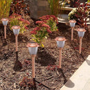 Solar Lights Outdoor - 8 Pack Copper Garden Walkway Lights Solar Powered Waterproof for Garden, Lawn, Yard, Pathway by GreenHaven Gardens