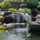 Aquascape Clear Pond Water Treatment for Dosing System SL, 96091 by GreenHaven Gardens