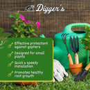 Digger’s 1-Gallon Heavy-Duty Wire Basket - Gopher Wire Basket for Perennials & Vegetables (12 Baskets) by GreenHaven Gardens