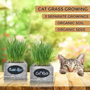 Cat Grass for Indoor Cats Kit – Best Value Organic Seed & Soil for 3 Growing Cycles, Natural Hairball Remedy & Cat Gifts (White Wash) by GreenHaven Gardens