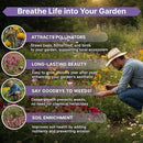 Organo Republic 23 Wildflower Seeds Annual & Perennial Mix for Indoor & Outdoors, Attract Birds & Butterflies 100,000+ Non-GMO, Heirloom Garden Seeds, 4oz Packet for Growing Wild Flowers by GreenHaven Gardens