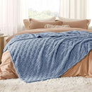 Bedsure GentleSoft Blankets Queen Size for Bed - Super Soft Cozy Blanket for Women Men Girls, Large Fuzzy Fleece Throw for Bedroom Decor, Ashley Blue, 90x90 Inches by CozyNest Decor