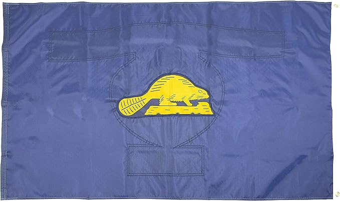 FlagSource Oregon Nylon State Flag, Made in the USA, 3x5', photo 2 of 6