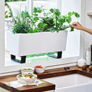 Glowpear Self-Watering Mini Bench Planter - 23.6" in Pot, Free Standing, UV Stable, Scalable, Indoor | Outdoor Pot with Water Gauge, for Home Kitchen Windowsill Gardening by CozyNest Decor