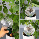 23 oz Extra Large Plant Watering Globes Top Fill, Clear Glass Water Bulbs with Terracotta Spikes Adapter, Slow Release Vacation Plant Watering Devices, Automatic Drip Irrigation, 2 Pack by GreenHaven Gardens