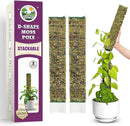 DUSPRO D-Shaped Plastic Moss Poles for Climbing Plants Monstera Stackable Moss Pole for Plants Moss Plant Pole Handmade Moss Stick for Indoor Plants Grow Upward 2 Pack 16.5 inches by GreenHaven Gardens