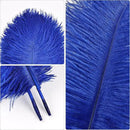 THARAHT Blue Ostrich Feathers 12pcs Natural Bulk 10-12Inch 25cm-30cm for Crafts Wedding Party Centerpieces Easter Gatsbi and Home Decoration Feathers by CozyNest Decor