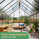 Amerlife 8x11.5x7 FT Polycarbonate Greenhouse for Outdoors, Walk-in Design with Aluminum Frame, 2 Windows and Swing Door, Heavy-Duty Greenhouse Construction for Garden, Black by GreenHaven Gardens
