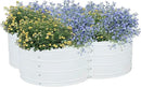 Sunnydaze Galvanized Raised Garden Bed - Metal Raised Bed for Gardening - Outdoor Planter Box for Flowers, Plants, and Vegetables - Ivory White - 12” H Clover by GreenHaven Gardens