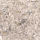 Vintage Map of the Battle of Abensberg, 1809