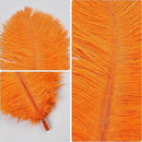 THARAHT Orange Ostrich Feathers 24pcs Natural Bulk 8-10Inch 20cm-25cm for Crafts Wedding Party Centerpieces Halloween and Home Decoration Feathers by CozyNest Decor