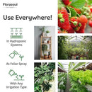 Florasoul® Plant Booster – Organic Vegan Fertilizer for Self-Sufficient Gardeners! All-Purpose, Nutrient-Rich Plant Food for Lush Growth, Vibrant Flowers & Healthy Soil – 100% Natural, Pet-Safe by GreenHaven Gardens