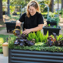 Rolling Elevated Raised Garden Bed-V Series, 2' x 6' Garden Beds with Legs & Storage Rack for Patio & Porch, 1000 Lbs Weight Capacity, Outdoor Planter Box for Vegetables Flower Herbs, Modern Gray by GreenHaven Gardens