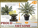 SUNPRAIRIE 32 Inch Tall Large Faux Agave Plant with Two-Tone Sawtooth Edged Leaves; Planted in Black Pot with Real Stone Pebbles. Large Artificial Plants Indoor and Outdoor. by GreenHaven Gardens
